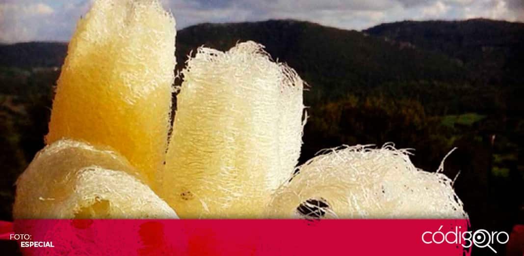 Zara vende estropajo por 300 pesos y crea polémica en redes sociales