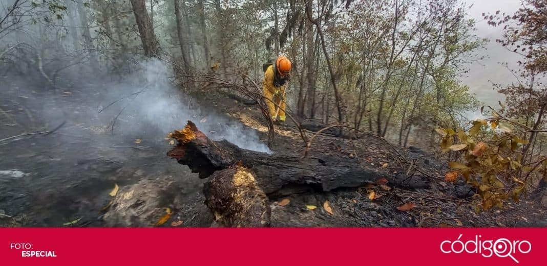 Nuevo León pide Declaratoria de Emergencia por incendio en Sierra de Santiago