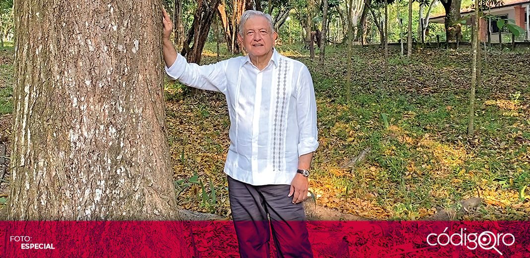 AMLO propondrá a Biden ampliación de “Sembrando vida” para  frenar migración