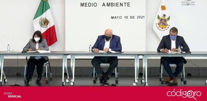 Mutilacion animales con fines esteticos La Comisión de Medio Ambiente aprobó prohibir la mutilación de animales con fines estéticos. Foto: Especial