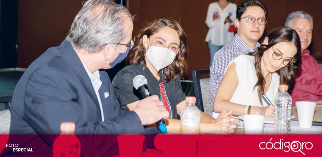 Sanción a quien realice obras con las patas: Abigail Arredondo
