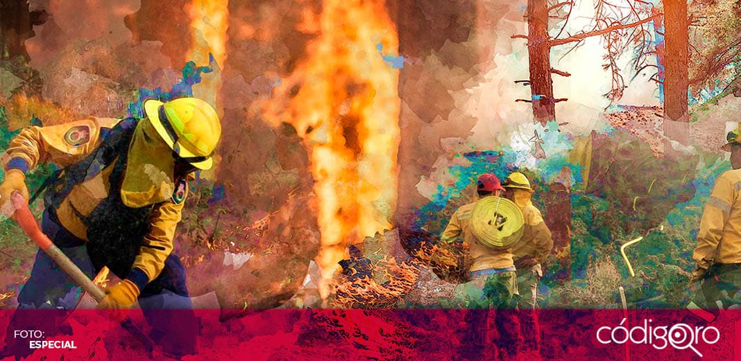 Incendios destruyen más de 100 mil hectáreas en Grecia