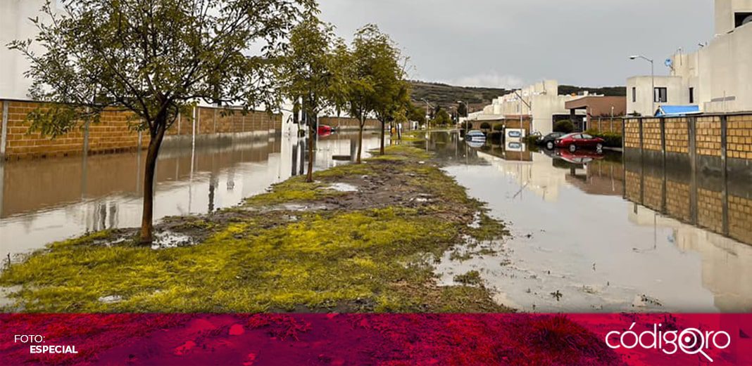Lluvia de este martes provocó escurrimientos, caídas de bardas y árboles