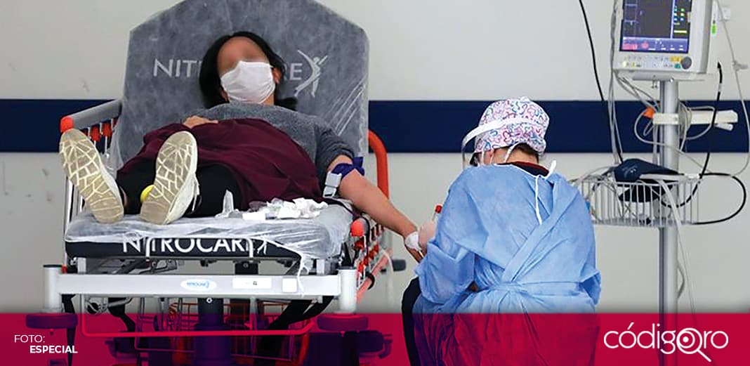 El Covid-19 puede infectar las neuronas: estudio holandés