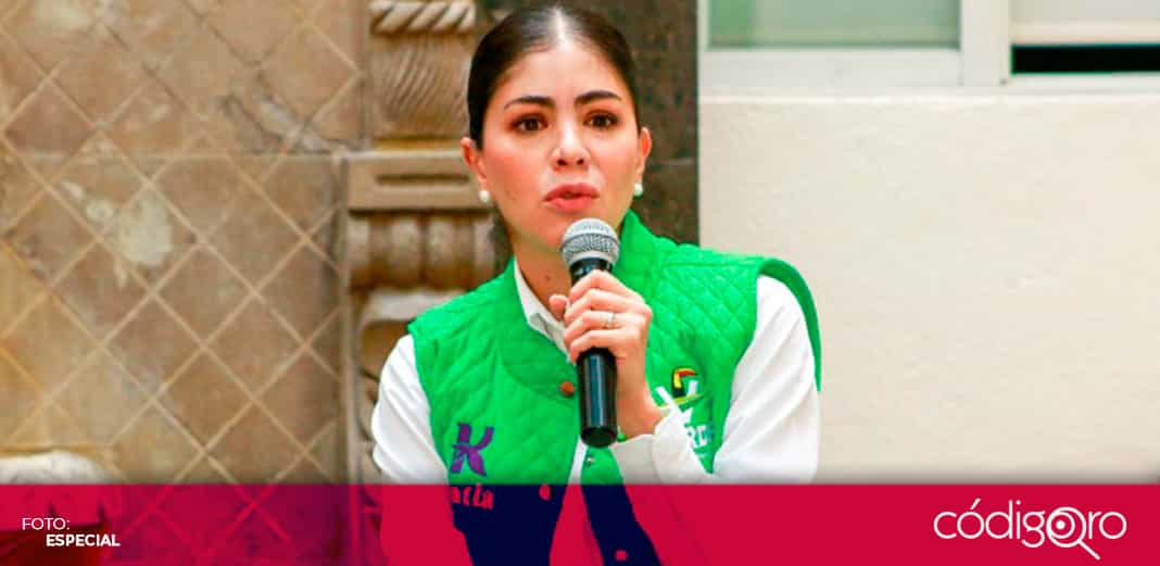 Si el PVEM violó la ley, debe ser sancionado: Katia Reséndiz