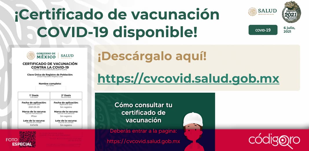 Estos son los países que piden un Certificado de Vacunación Covid-19 para ingresar