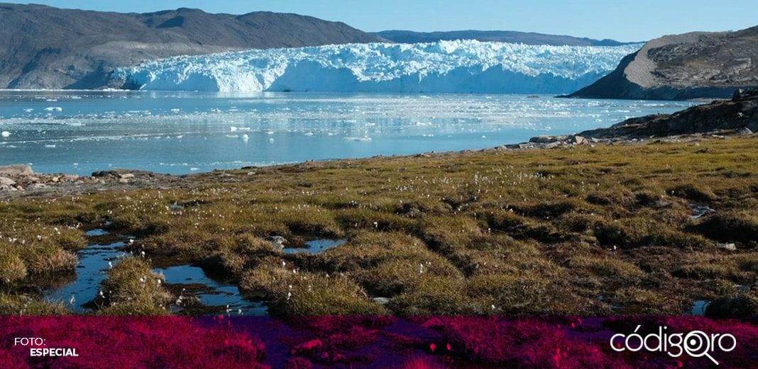 Groenlandia enfrenta un "evento de derretimiento masivo" por una ola de calor y el cambio climático