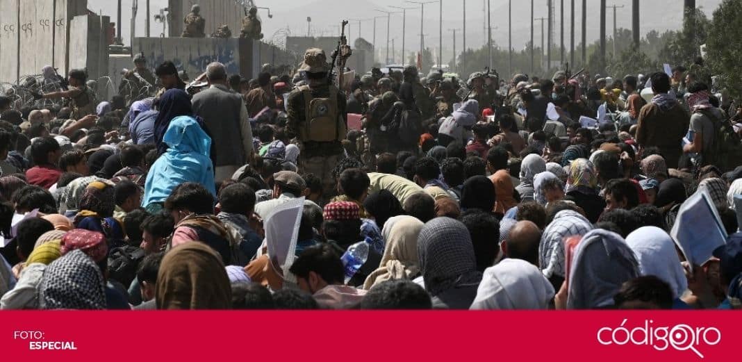 Suman 7 muertos por caos en el aeropuerto de Kabul, en Afganistán