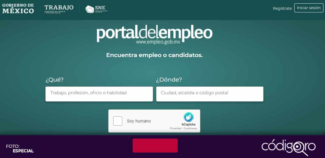 STPS renueva portal del empleo con inteligencia artificial, talleres y asesorías