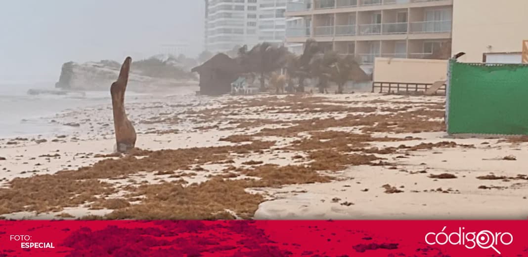 Grace se aleja de Quintana Roo, pero sigue su paso por la península de Yucatán