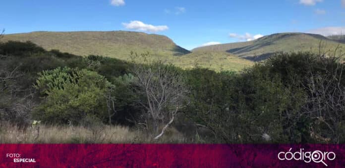 Ejidatarios Pena Colorada Mauricio Kuri Ejidatarios de Peña Colorada anunciaron que buscarán reunirse con el gobernador electo Mauricio Kuri. Foto: Especial