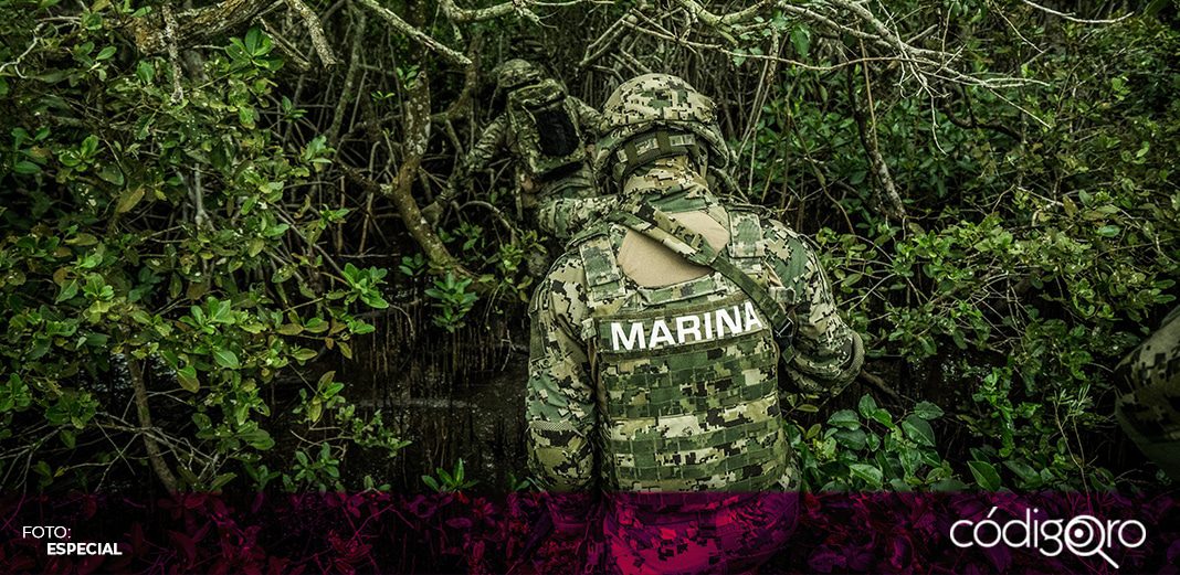 Avalan Ley Orgánica de la Armada para ampliar facultades de la Marina
