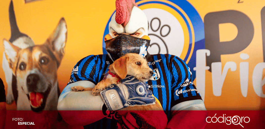 Municipio de Querétaro apoya en la estancia de mascotas en la Zona Pet Friendly del Estadio Corregidora