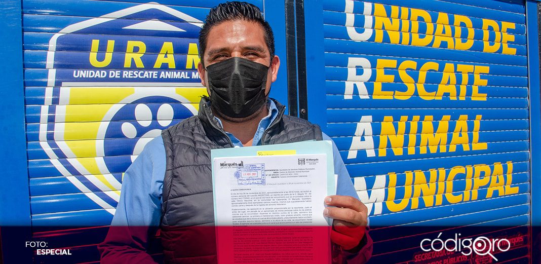Presentan denuncia por muerte de 12 perros en la comunidad de Calamanda
