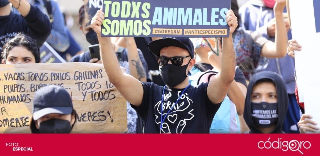 Decenas de activistas protestan contra el especismo en la Ciudad de México