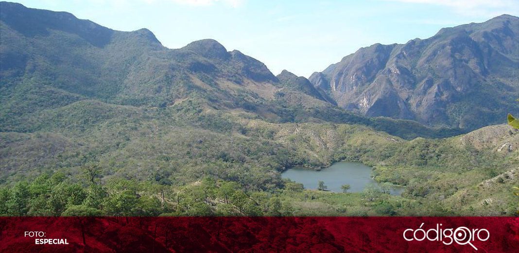 Territorio de los Chimalapas pertenece al estado de Oaxaca: SCJN