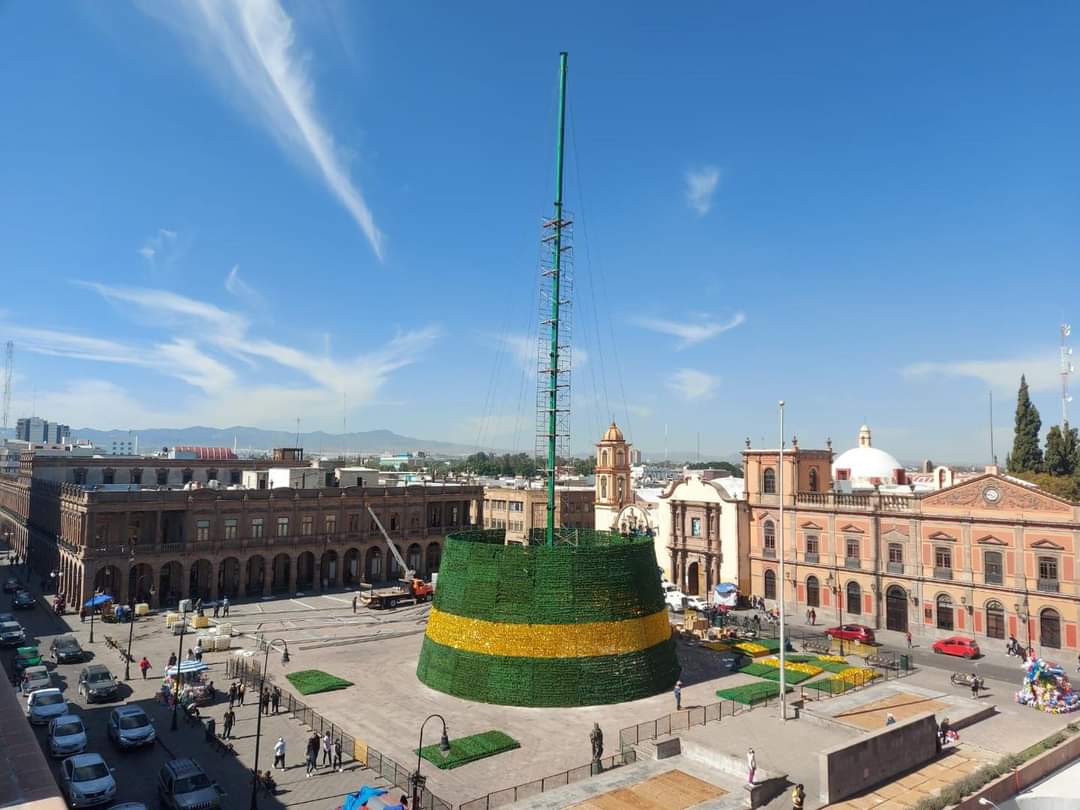 árbol árbol