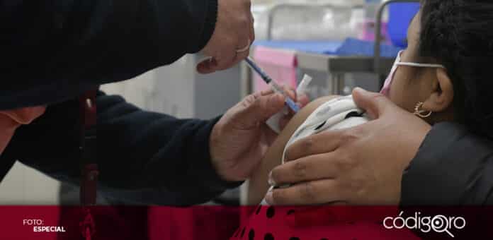 La vacunación contra la influenza lleva un avance superior al 50% en el estado de Querétaro. Foto: Especial