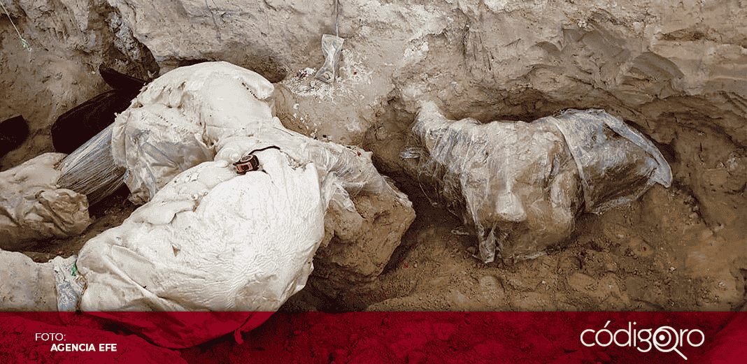 Encuentran en Puebla restos de un mamut de hace más de 10 mil años