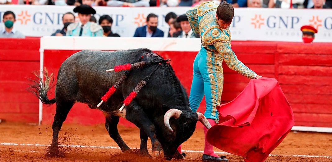 La Plaza México expresó su preocupación por la posible prohibición de las corridas de toros. Foto: Agencia EFE