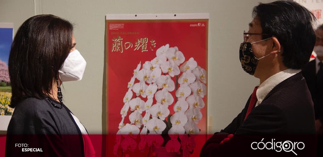 Secretaría de Cultura estrecha lazos con el consulado de Japón