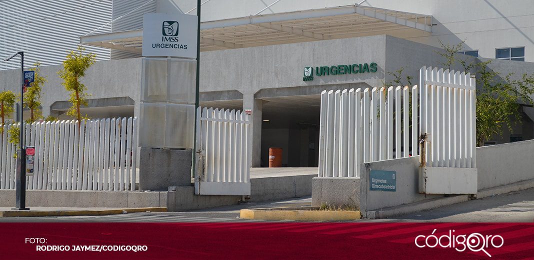 Grave, que 1 de cada 2 queretanos no cuente con seguridad social: diputada
