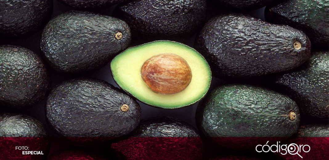 Las exportaciones mexicanas de aguacate hacia Estados Unidos se incrementaron 20% en 2021. Foto: Especial