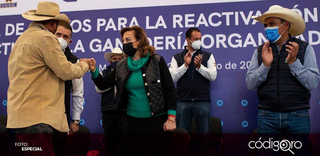 Entregan apoyos por 15 millones de pesos a ganaderos