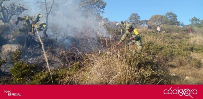 Un incendio forestal consumió 4 hectáreas de pastizal en el municipio de Amealco de Bonfil. Foto: Especial