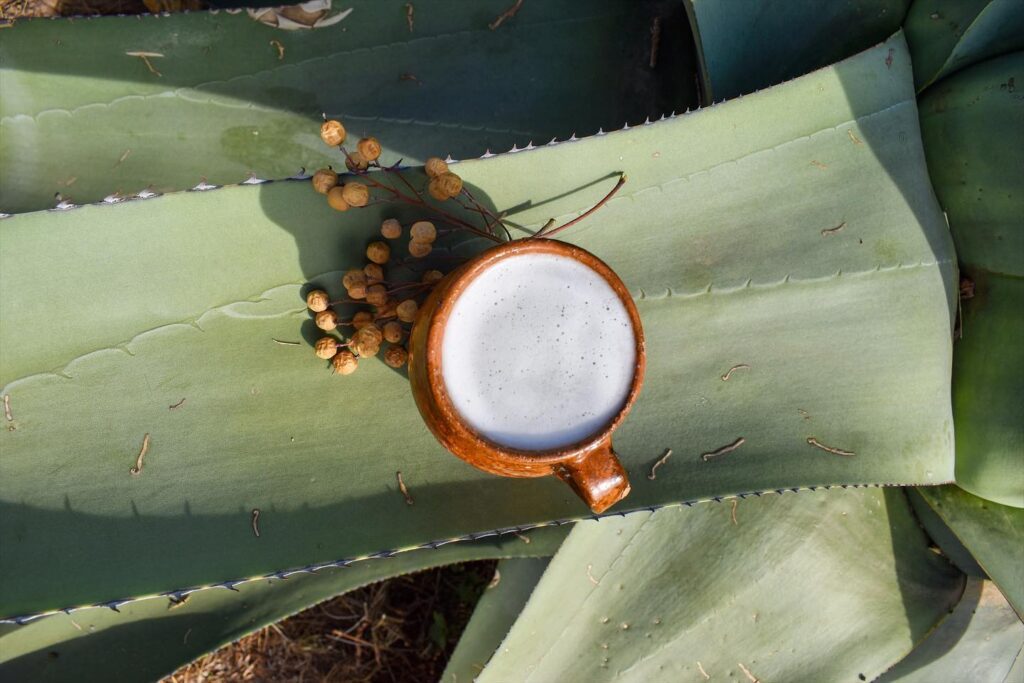pulque pulque