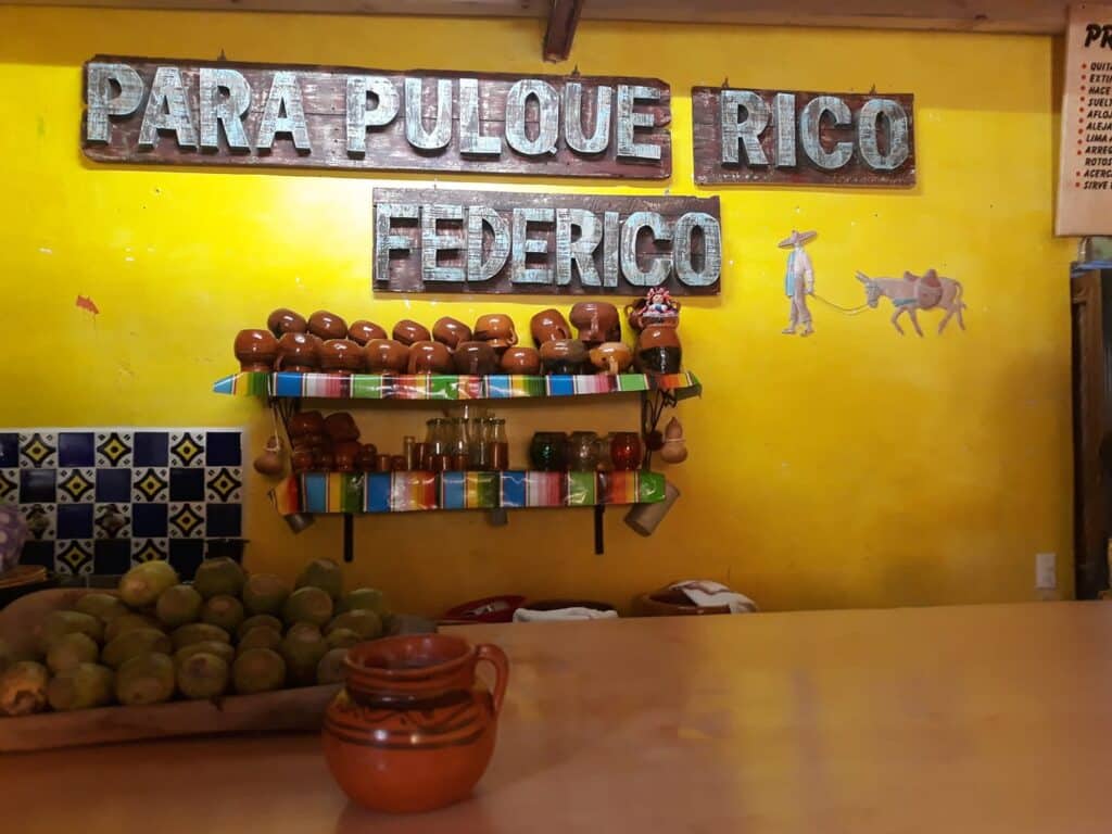 pulque pulque