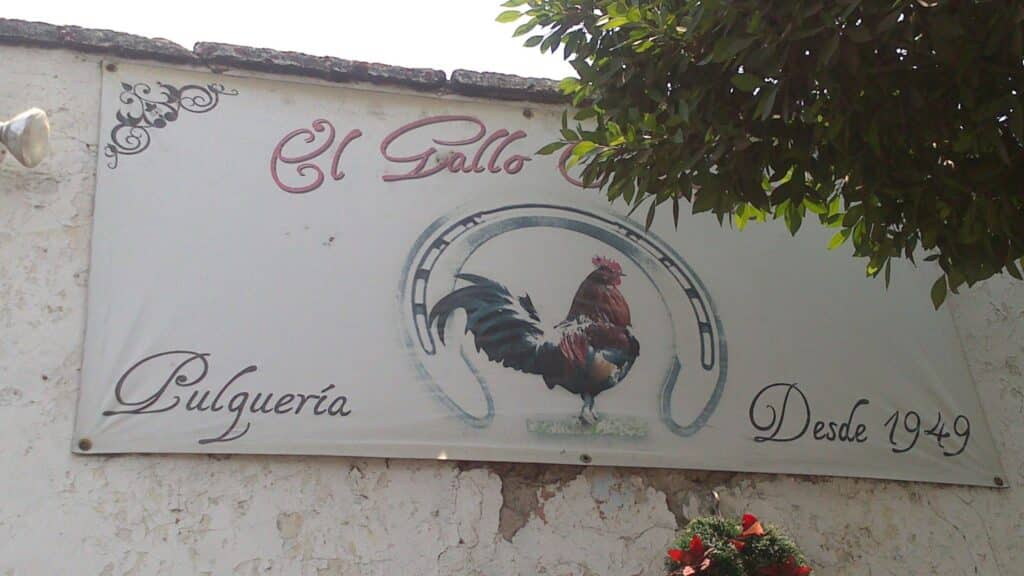 pulque pulque