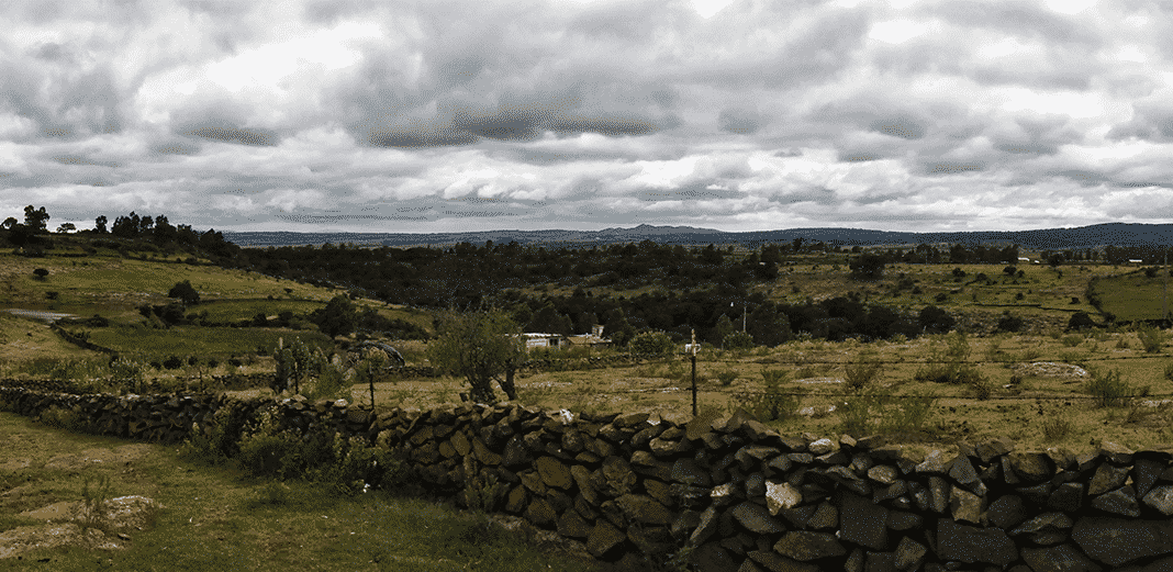 Los paisajes boscosos del municipio de Amealco de Bonfil. Foto: Especial