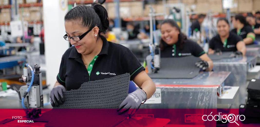 Empleo rompe récord en enero al registrarse más de 142 mil puestos ante el IMSS