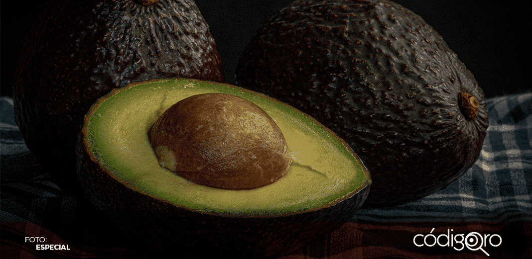 Por amenazas, Estados Unidos suspende envío de aguacates desde Michoacán
