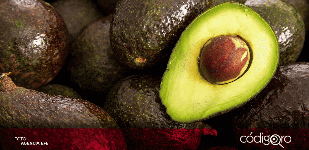 Michoacán afirma que muy pronto volverá a exportar aguacate a EUA