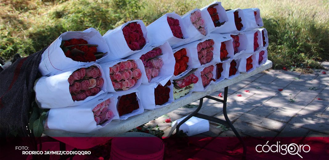 Productores de rosas aumentaron ventas 50% el 14 de febrero