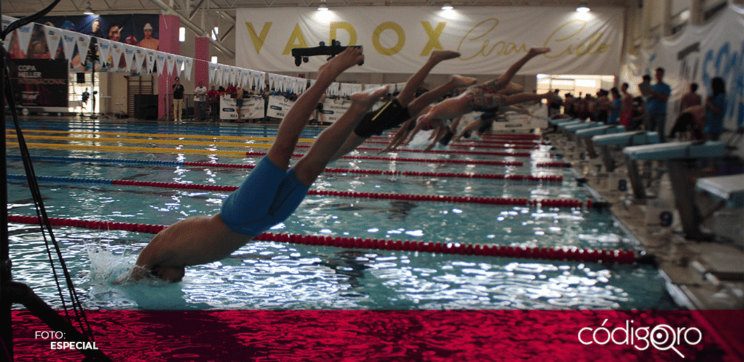Querétaro sede de la élite en natación
