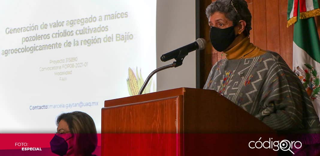 Crea UAQ producto agroecológico “Criollo de Tarimoro”