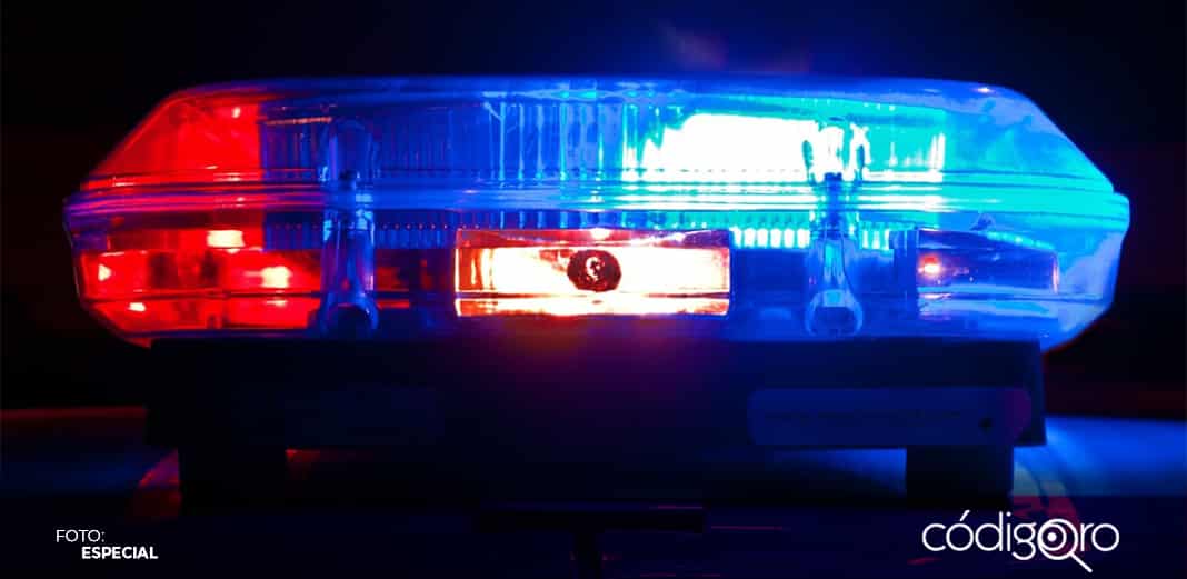 Dos detenidos por robo a comercio en Avenida del Parque