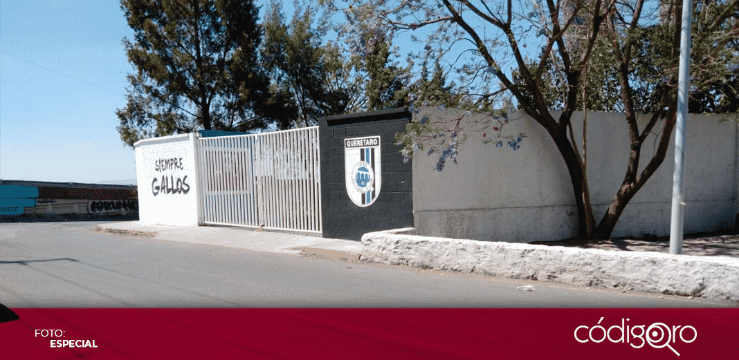 Hermetismo en Gallos tras sanciones