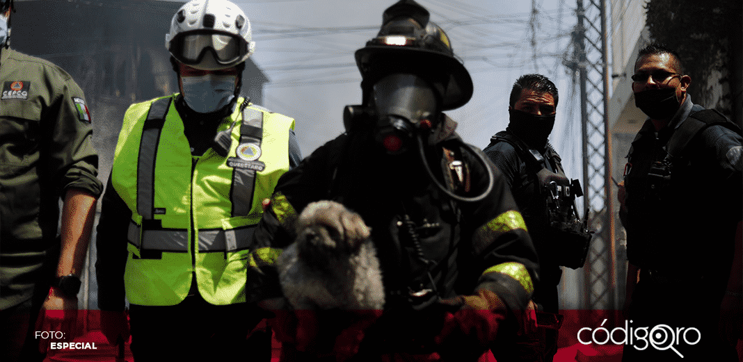 Protección Civil reporta que el incendio en Los Alcanfores está controlado
