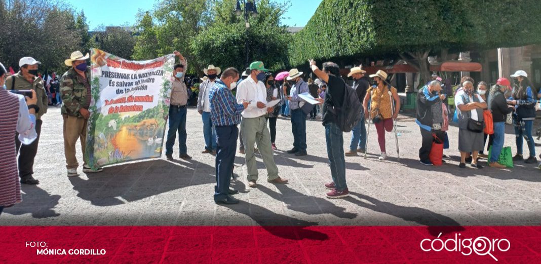 Exigen combate a tala clandestina en municipios