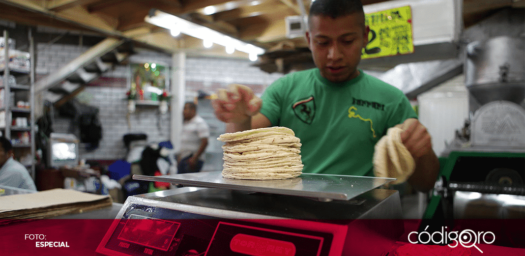 Alza en precio de maíz llevó a máximos históricos precio de la tortilla