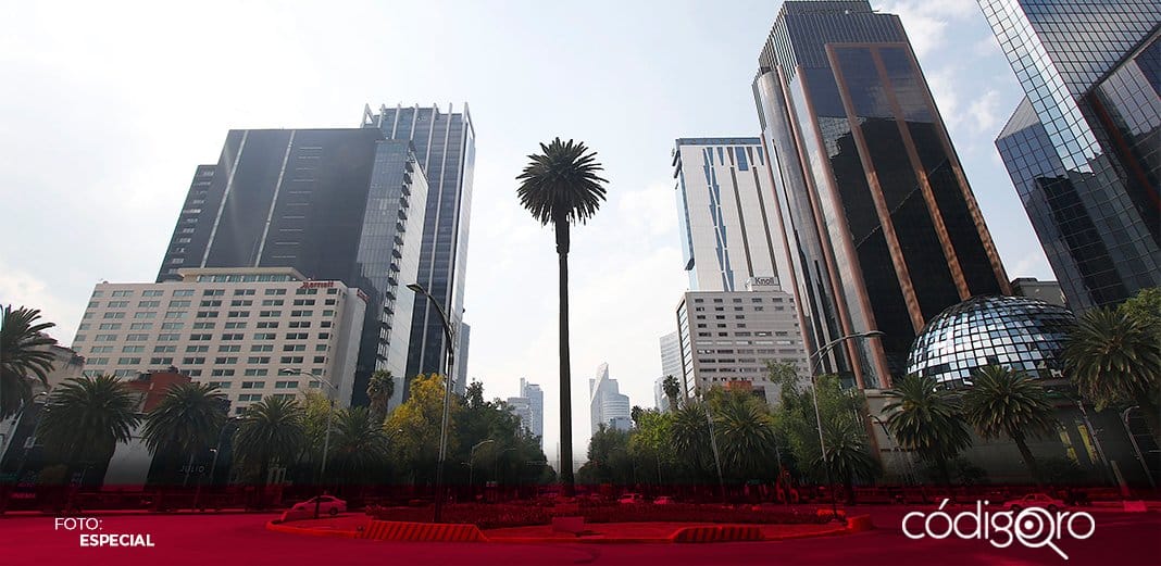 Retirarán emblemática palma de Paseo de la Reforma