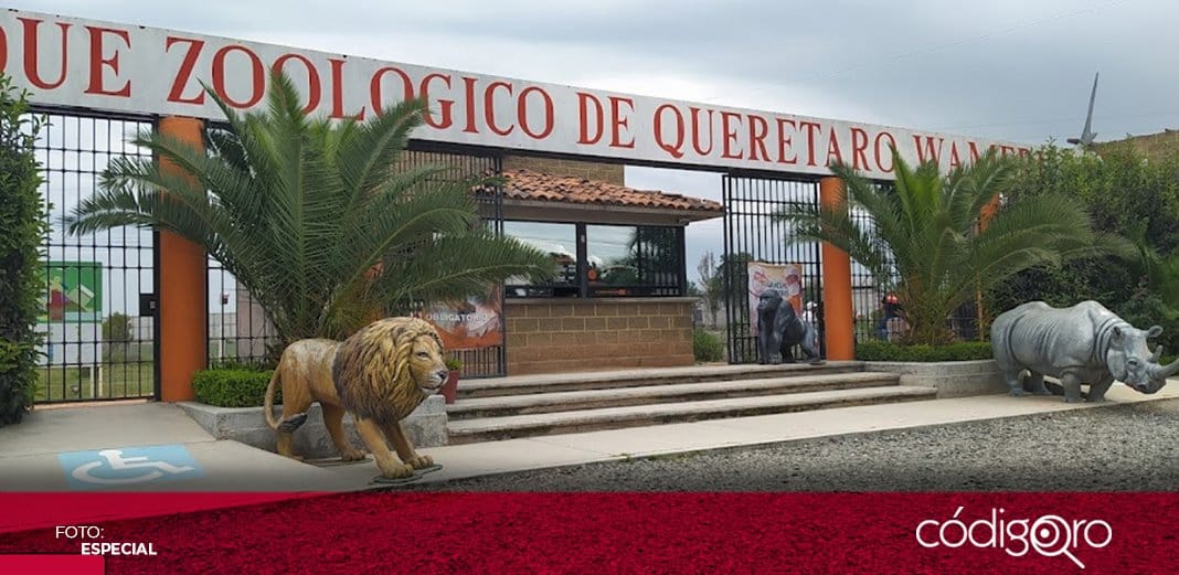 En robo y homicidio en Wamerú, participaron 4 personas: Fiscalía General
