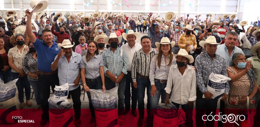 Campesinos de Peñamiller reciben más de 40 toneladas de maíz