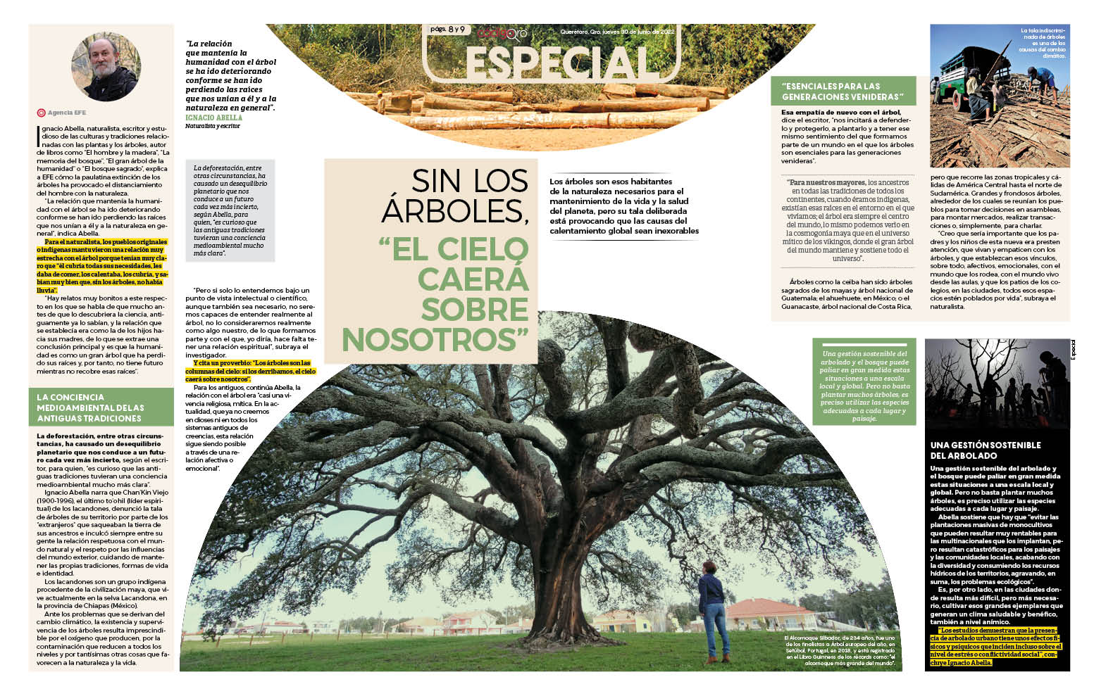 Sin los árboles, “el cielo caerá sobre nosotros”