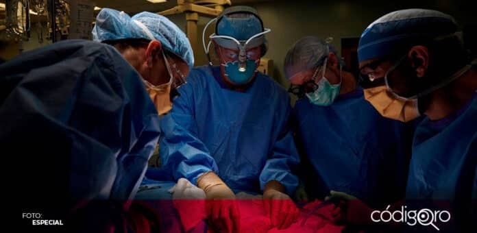 De enero a mayo, fueron realizados 46 trasplantes de órganos y tejidos en el estado de Querétaro. Foto: Especial