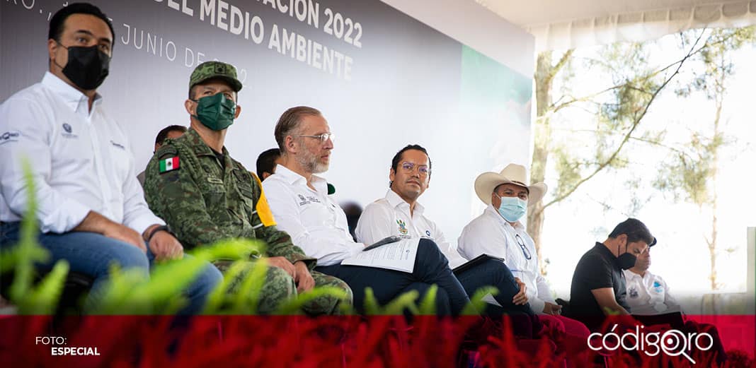 Temporada de Reforestación inicia en el estado de Querétaro